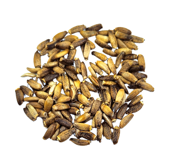 Milk Thistle - Herbal Tea