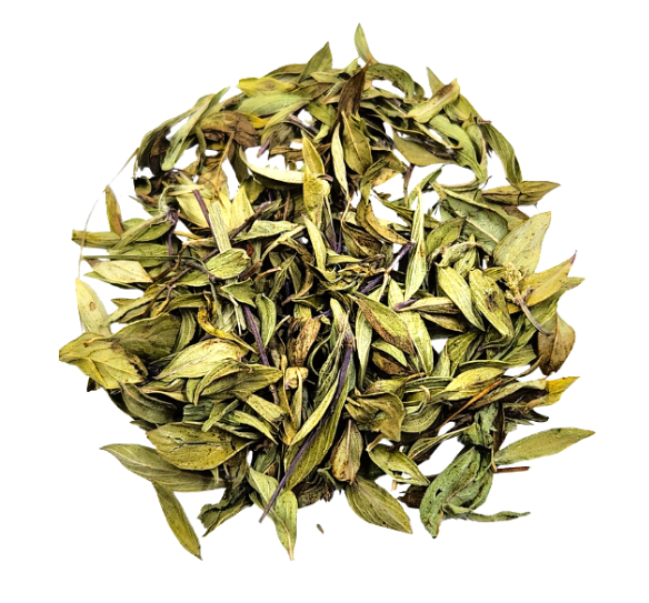 Mountain Thyme - Herbal Tea