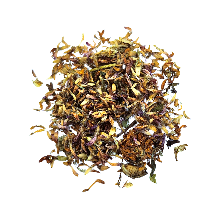 Red Clover - Botanical