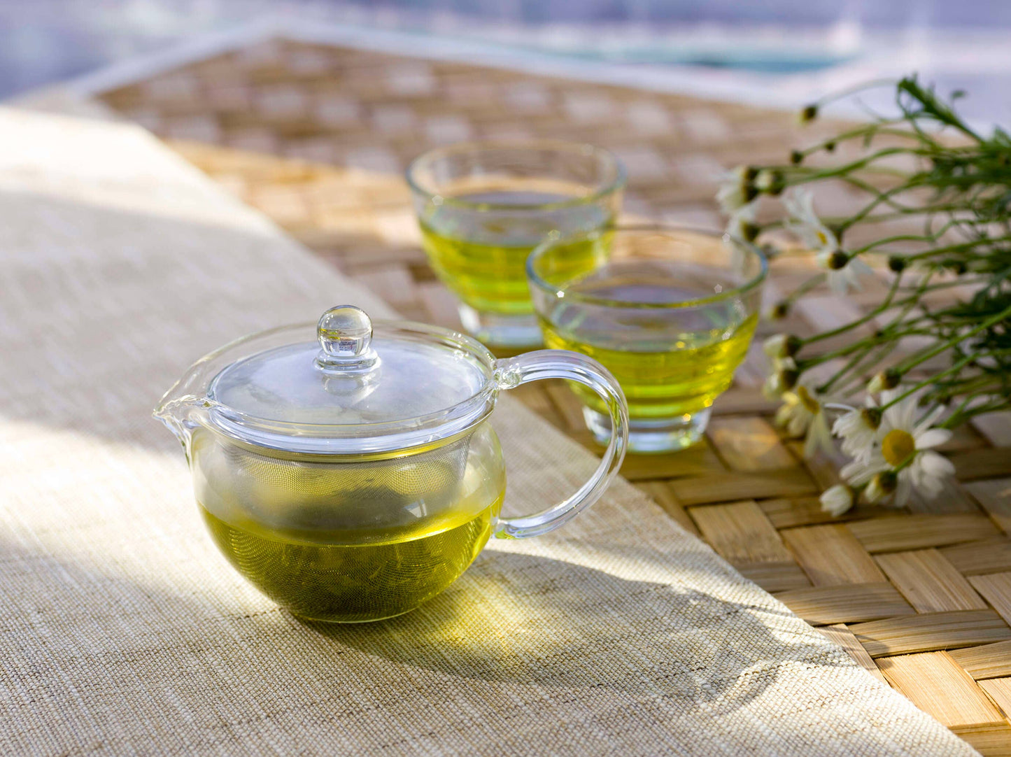 Teapot - ChaCha Kyusu "Maru" 24oz(700ml)