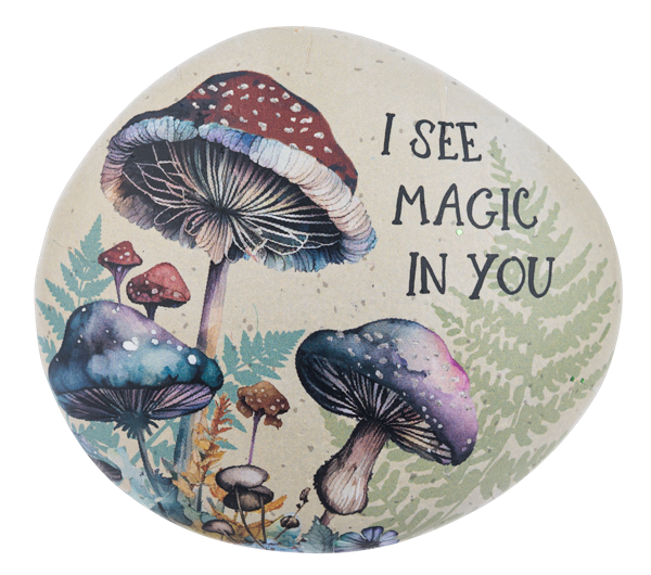 Decor - Mushroom Inspiration Art Rocks
