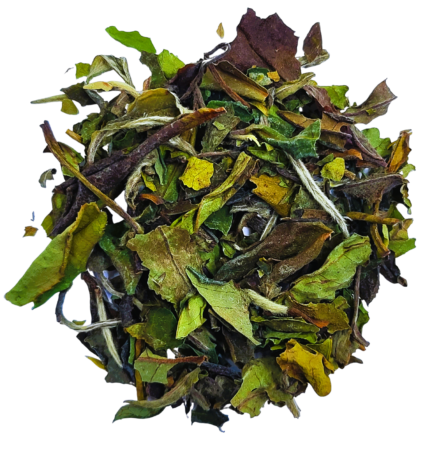 White Peony - White Tea