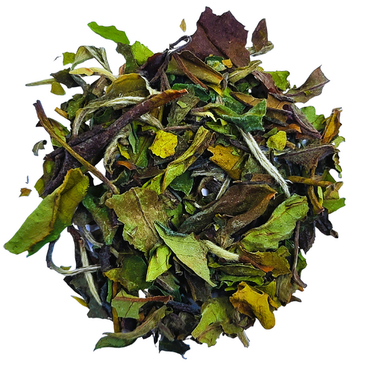 White Peony - White Tea