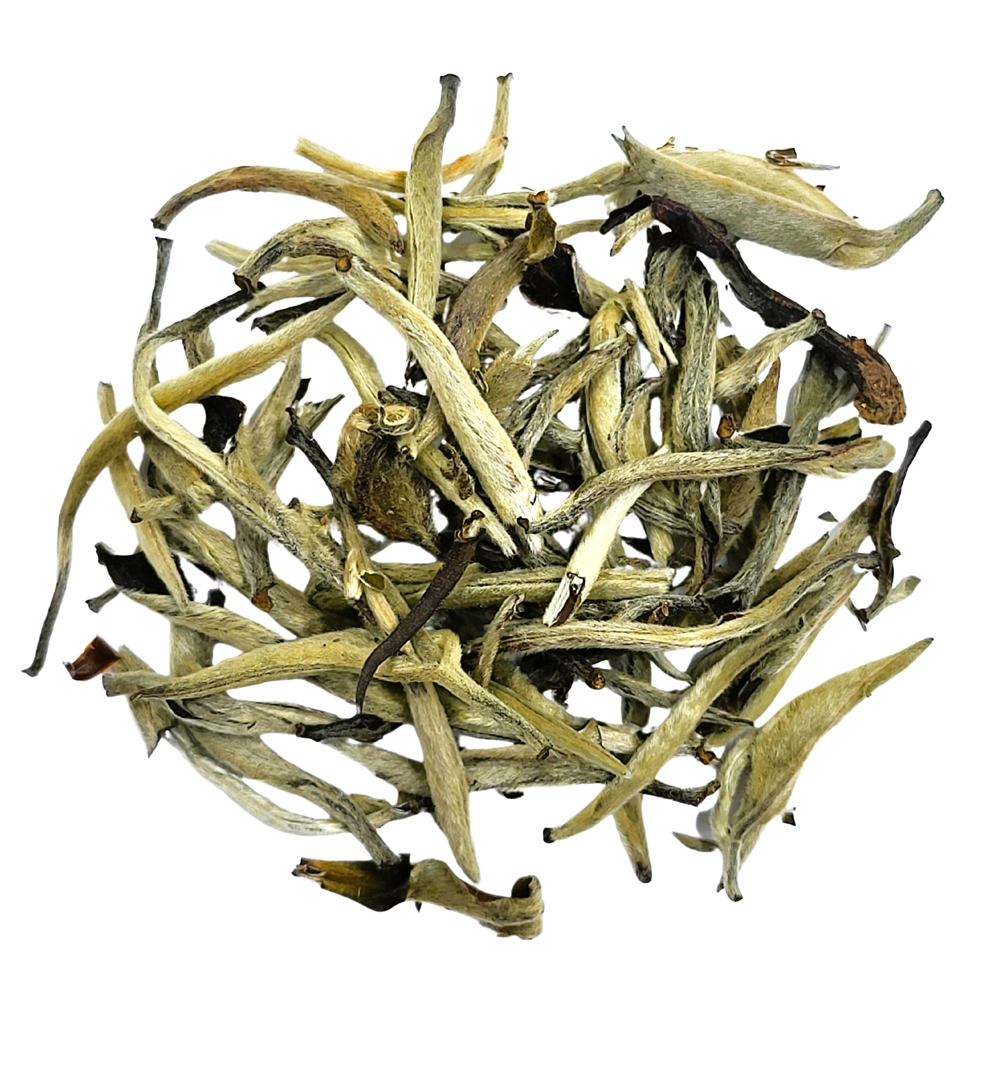 Silver Needle - Bai Hao Yin Zhen