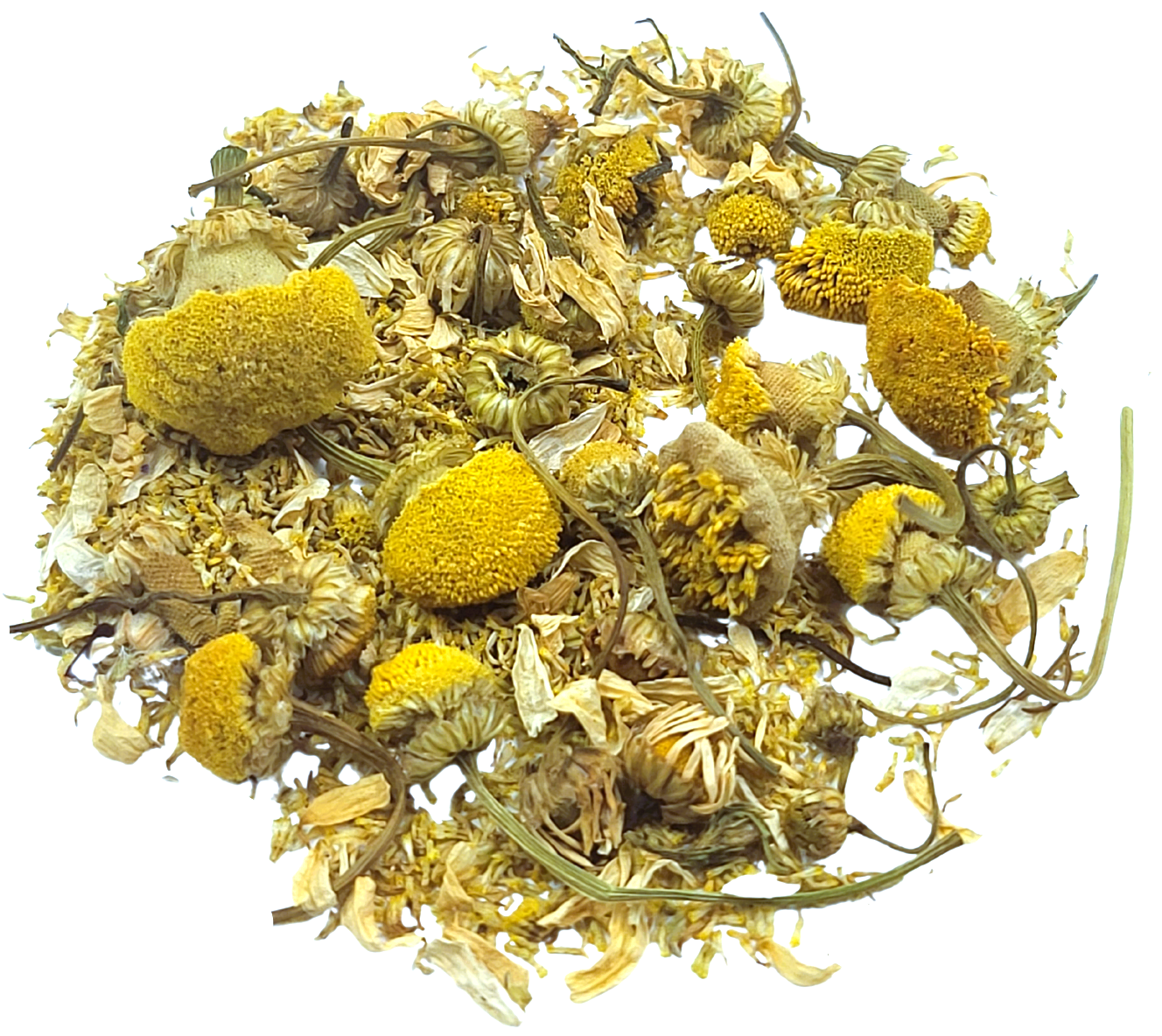 Chamomile Blossom - Botanical