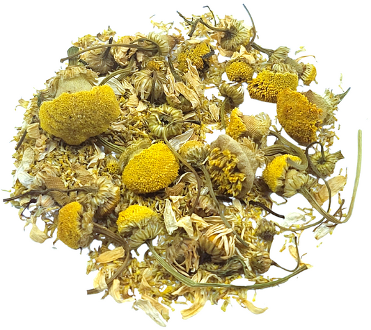 Chamomile Blossom - Botanical