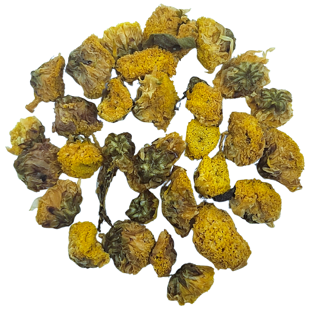 Chrysanthemum Blossoms - Botanical