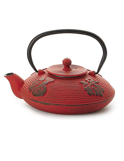 Cast Iron Teapot