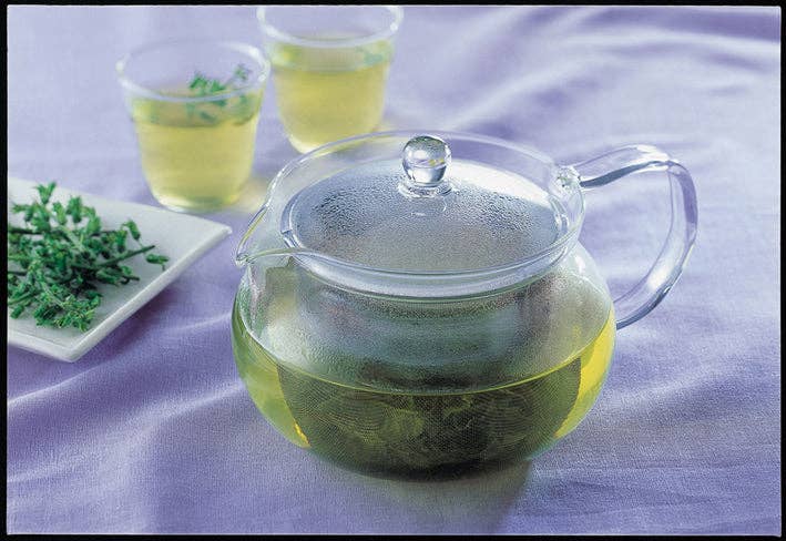 Teapot - ChaCha Kyusu "Maru"  24oz(700ml)