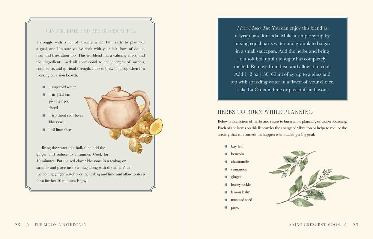 Book - Moon Apothecary by Lorriane Anderson