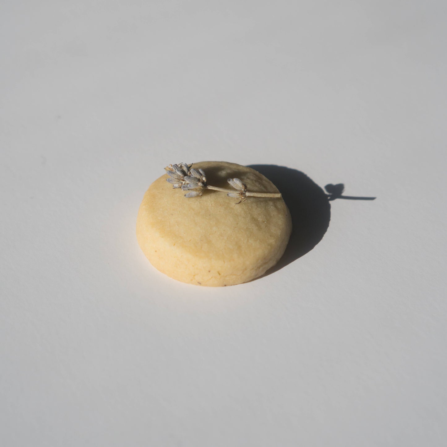 Cookie - Lavender