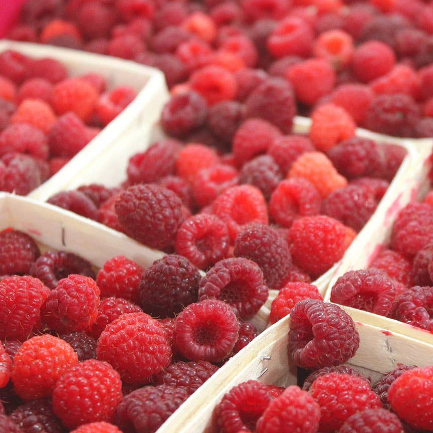 Jam - Raspberry Hibiscus Preserve