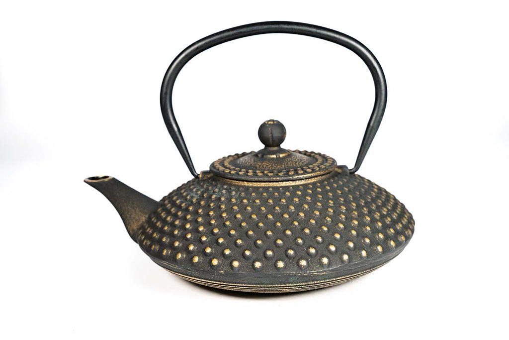 Cast Iron Tea Pot- "Xiamen" -40.6 fl. oz. (1.2 l)