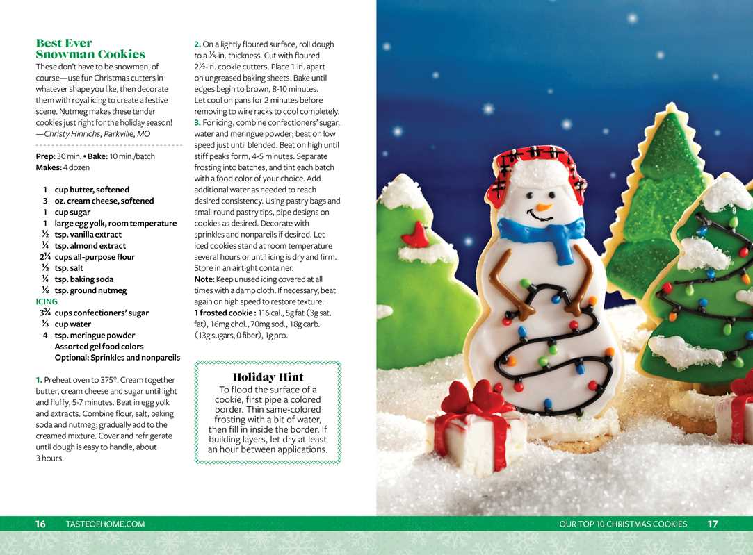 Book - Taste of Home Christmas Cookies Mini Binder