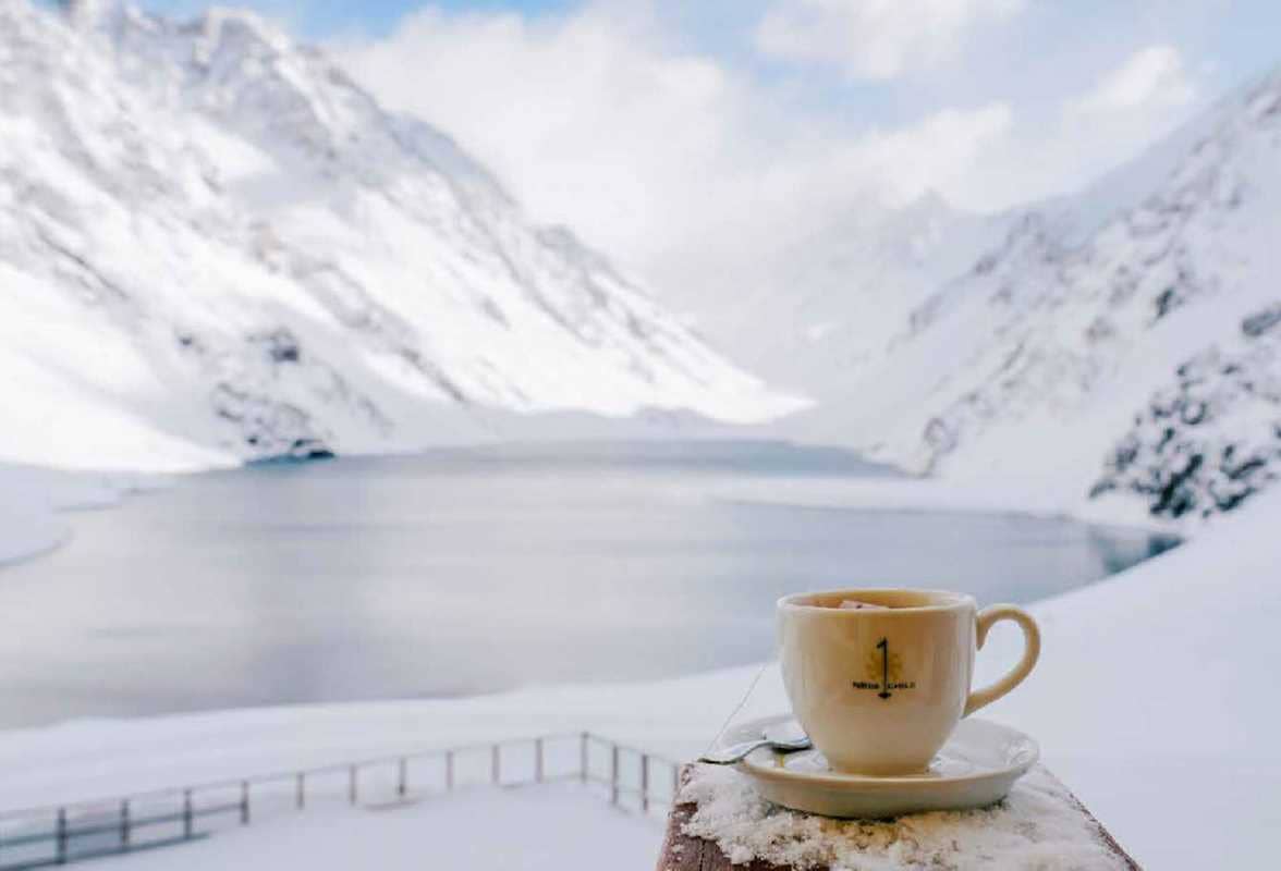 Book - 150 Tea Houses You Need to Visit Before You Die by Léa Teuscher