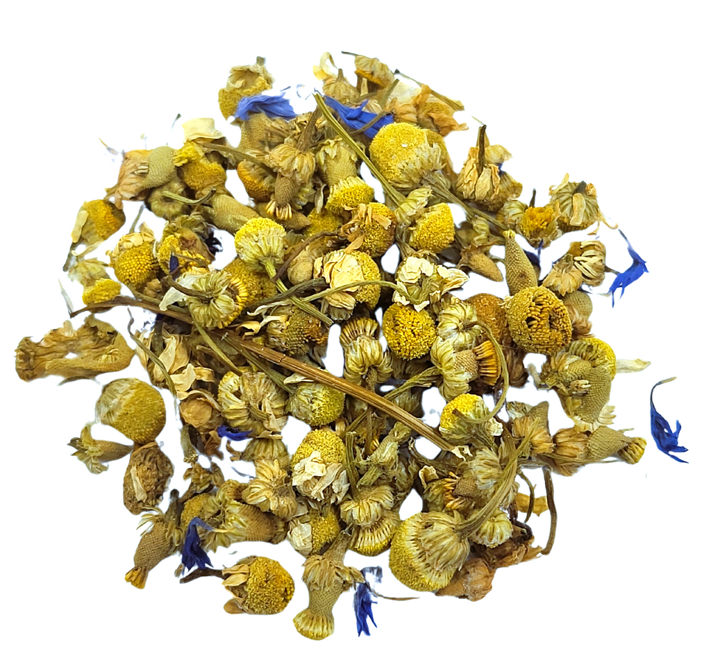 Blue Nile Chamomile - Botanical