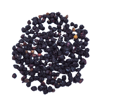 Elderberry - Fruit Infusion