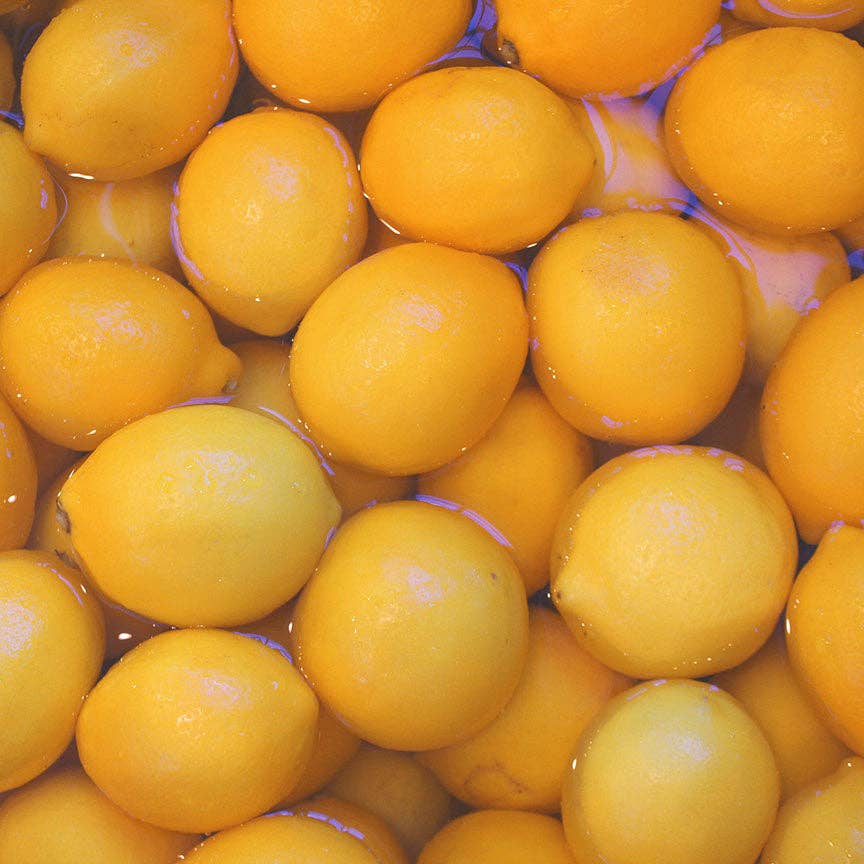 Jam - Meyer Lemon with Honey Marmalade
