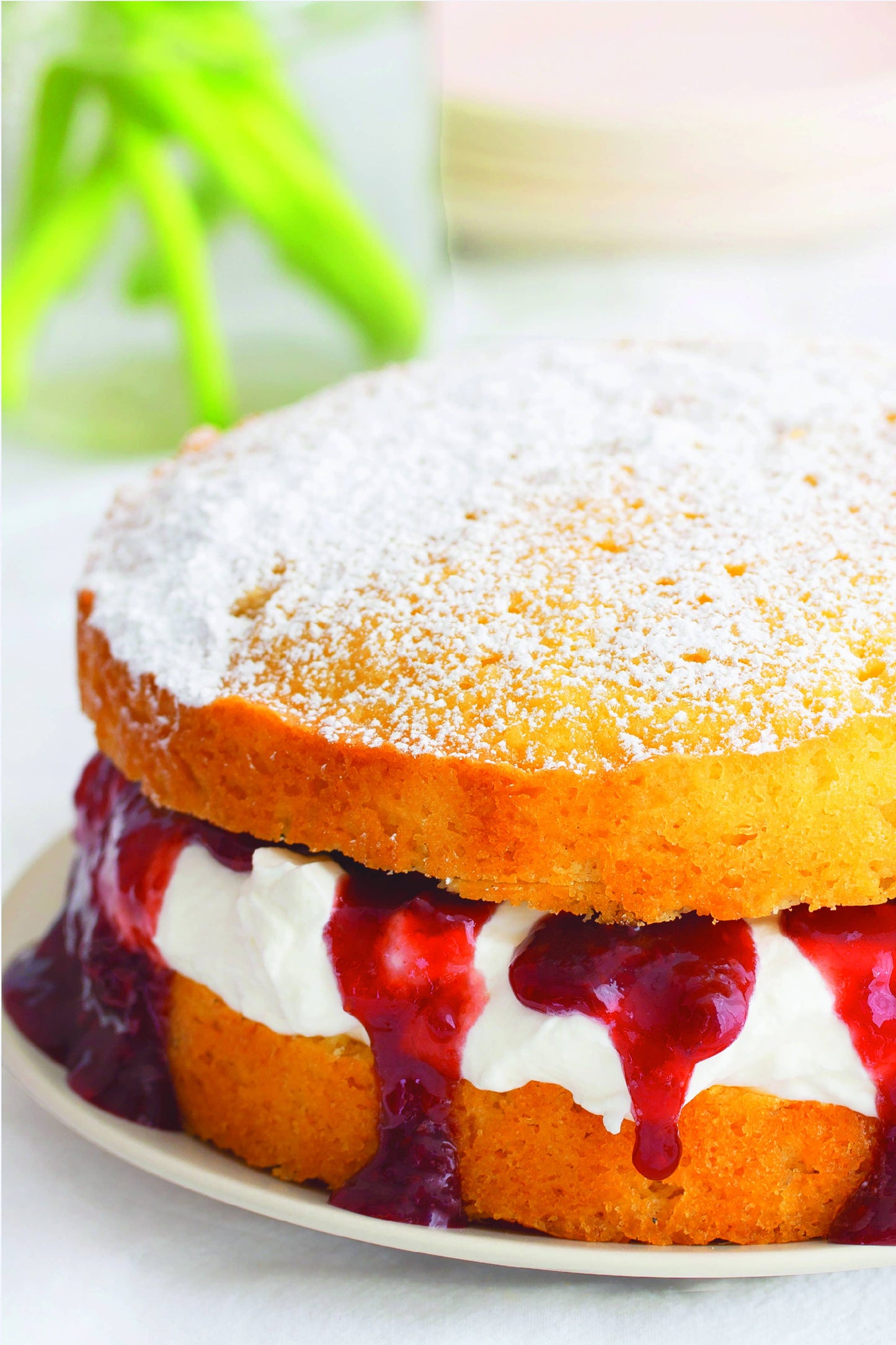 Jam - Strawberry Rhubarb Preserve