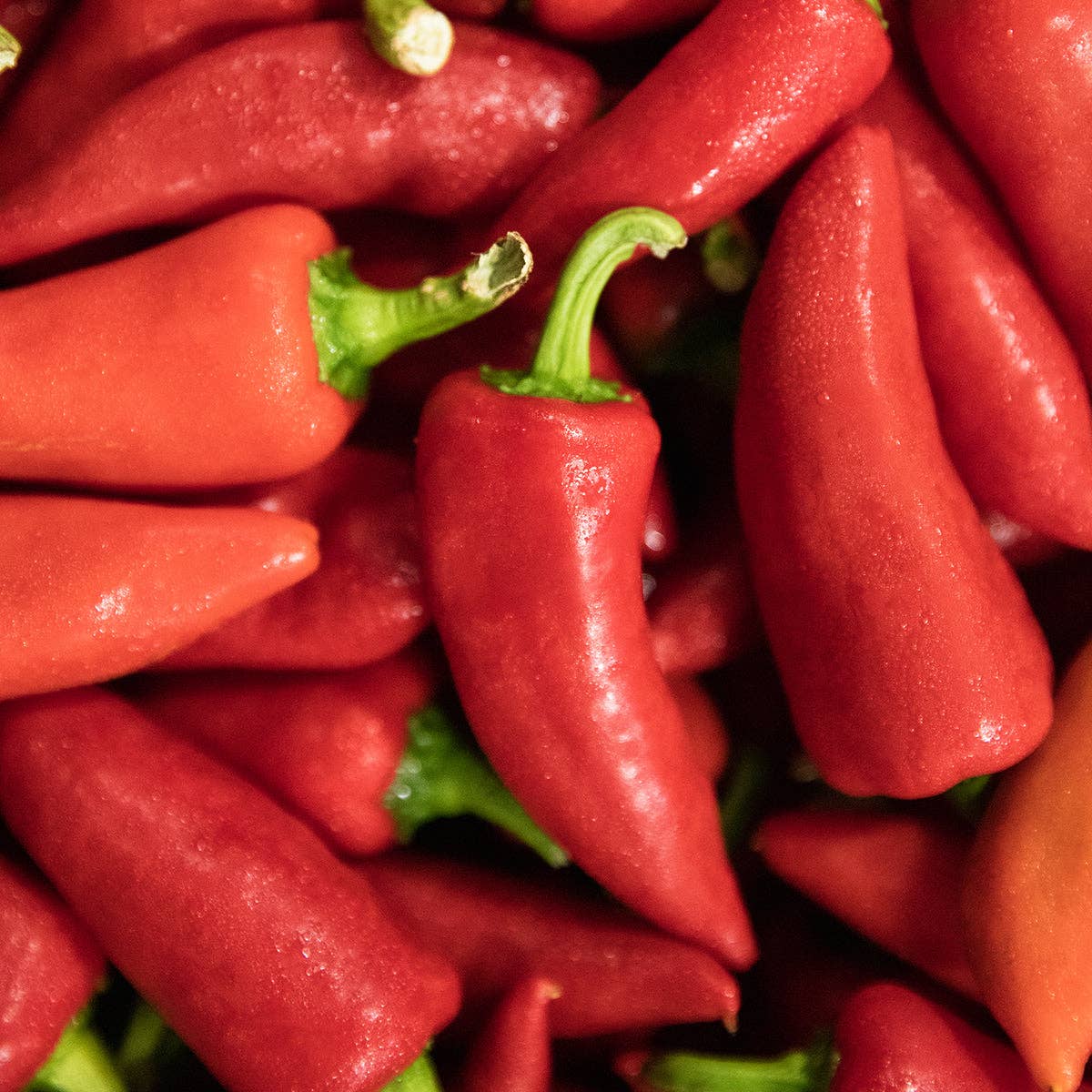 Jam - Fresno & Thai Spicy Chili
