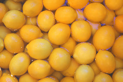 Meyer Lemon Marmalade - 10.8oz