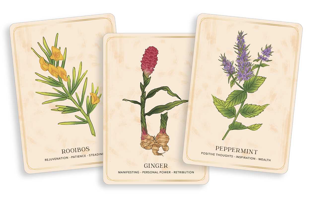 Book - Herbal Tea Magic for the Modern Witch Oracle Deck by Elsie Wild