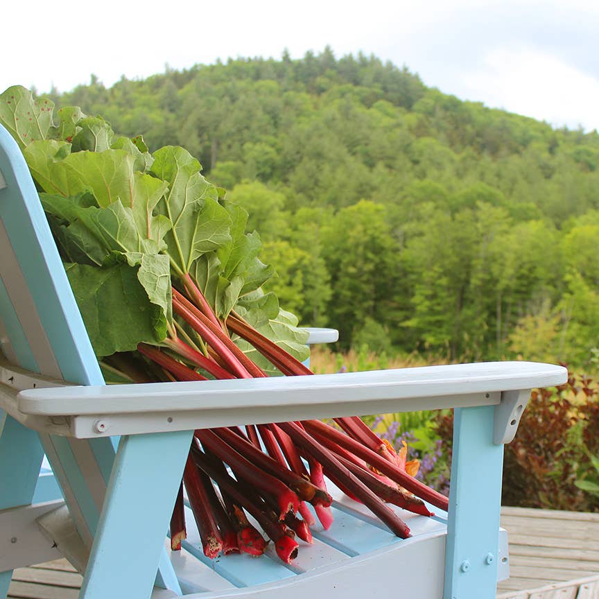 Jam - Strawberry Rhubarb Preserve