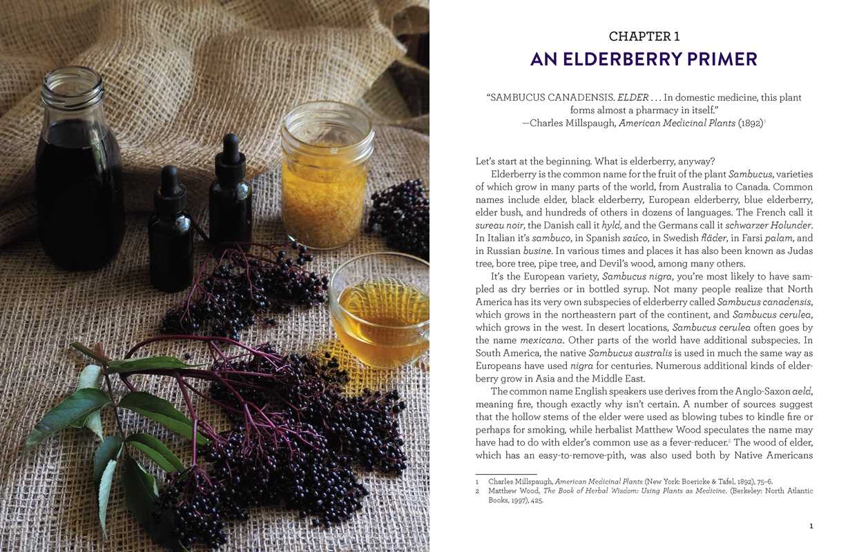 Book - Everything Elderberry by Susannah Shmurak