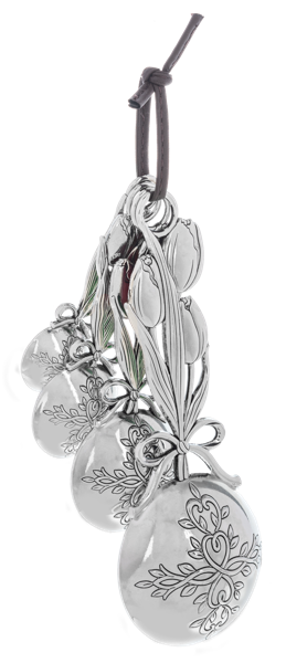 Measuring Spoon Gift Set