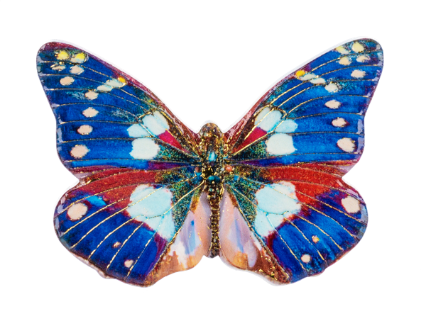 Magnet - Vibrant Butterfly