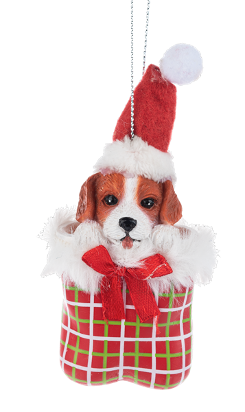 Ornament - Comfy & Cozy Festive Cats & Dogs