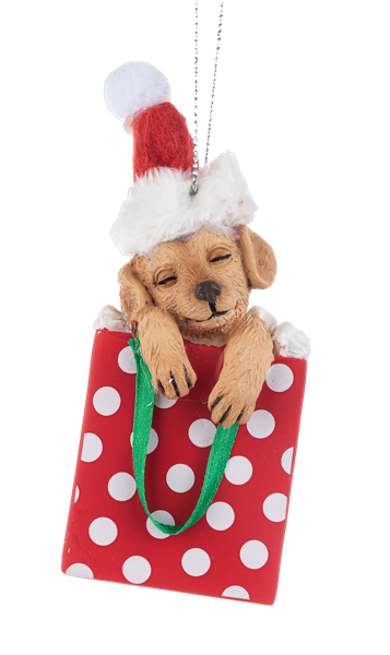 Ornament - Comfy & Cozy Festive Cats & Dogs