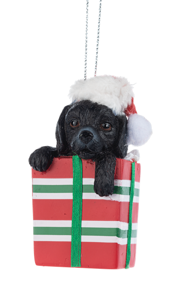 Ornament - Comfy & Cozy Festive Cats & Dogs