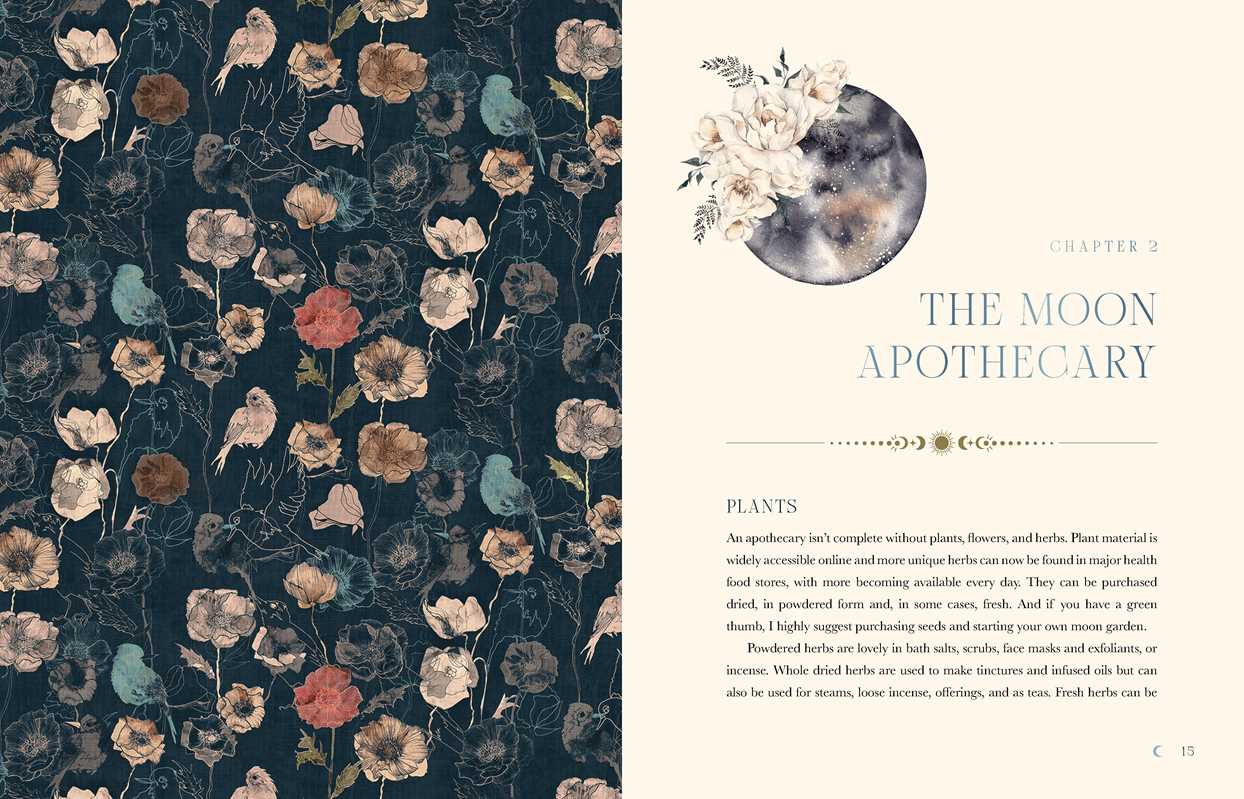 Book - Moon Apothecary by Lorriane Anderson