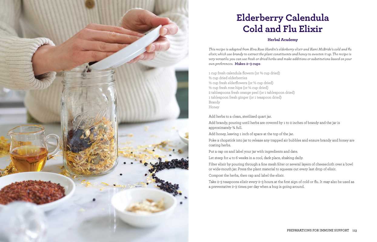 Book - Everything Elderberry by Susannah Shmurak