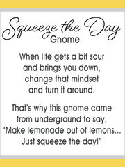 Charm- Squeeze The Day Gnome