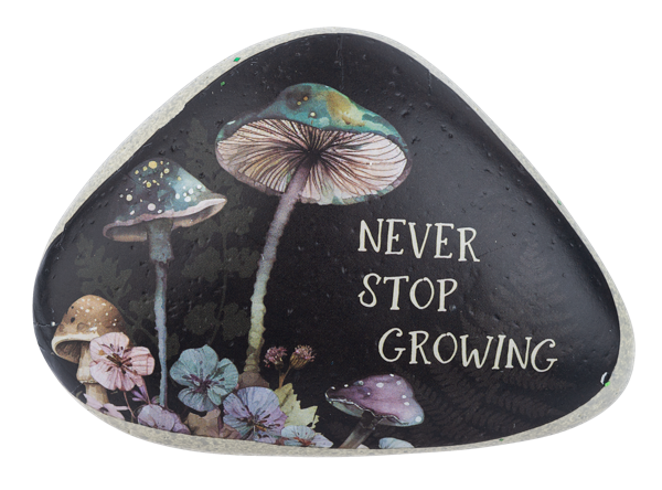 Decor - Mushroom Inspiration Art Rocks
