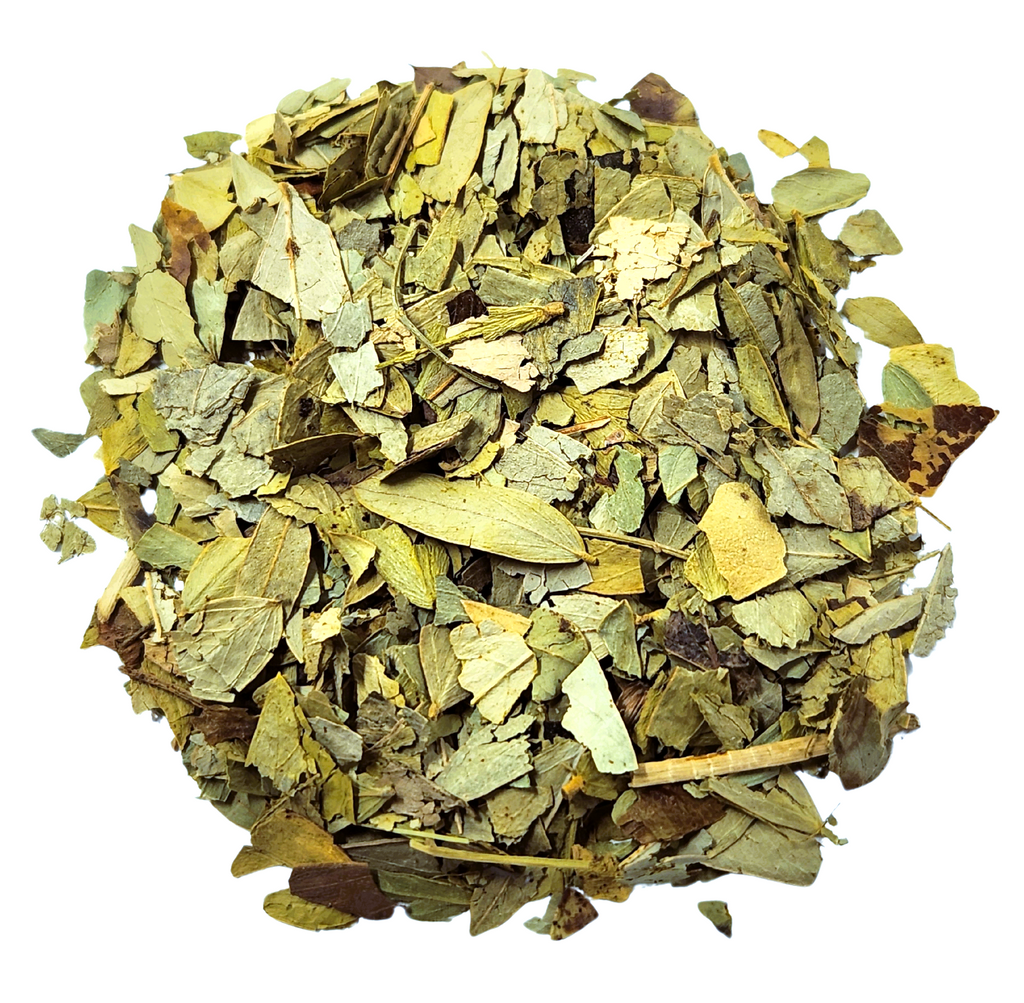 Senna - Herbal Tea – Point Loma Tea