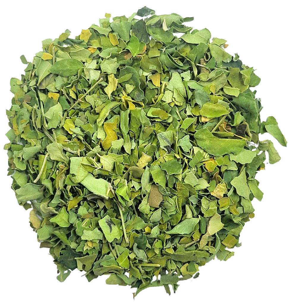 Moringa-Herbal