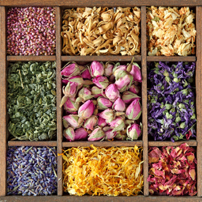 Tea Sampler Set - Spa Day Tea Flight – Point Loma Tea